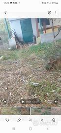 Terreno piu casetta