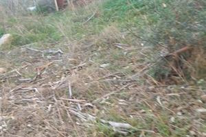 Terreno piu casetta