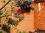 Immagine 18