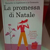 libro La promessa di Natale 