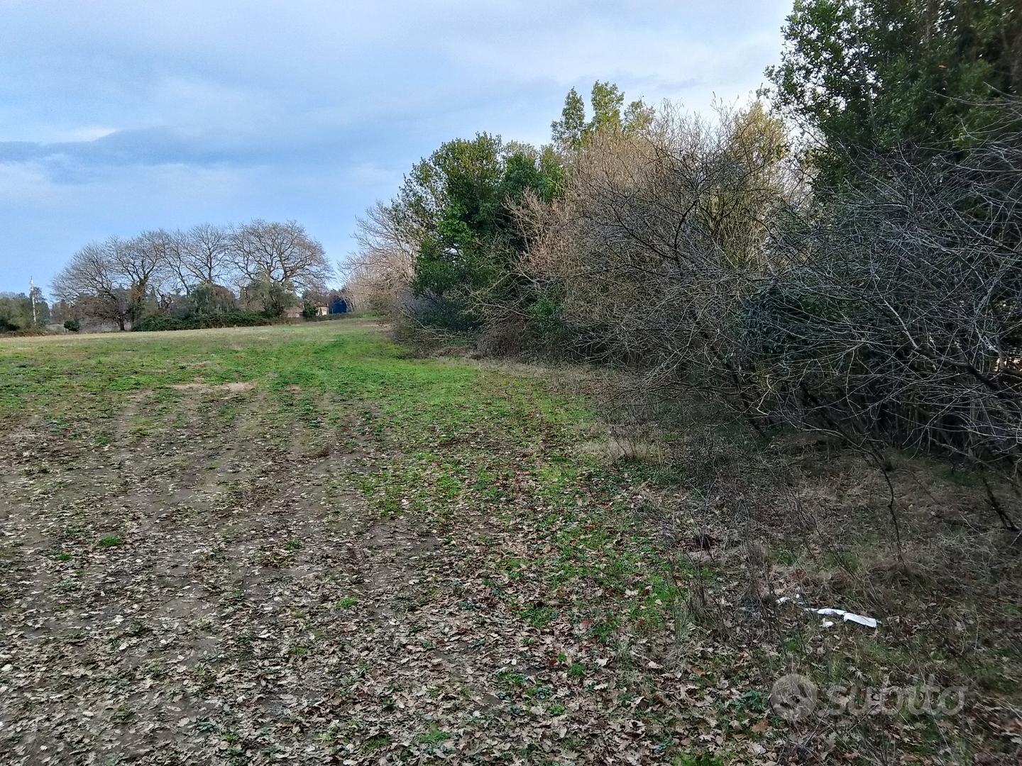 Terreno Agricolo - Vista 3