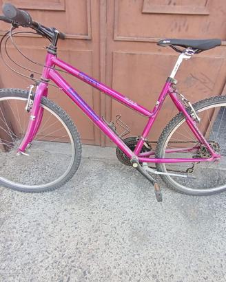 mountain bike 26