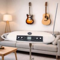 theremini con borsa originale