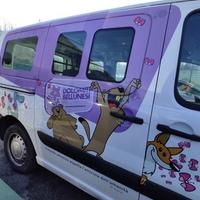 Porta laterale dx nuda FIAT SCUDO del 2008