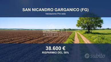 Immobile in asta di 51476 m² a San Nicandro Gargan