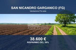 Immobile in asta di 51476 m² a San Nicandro Gargan