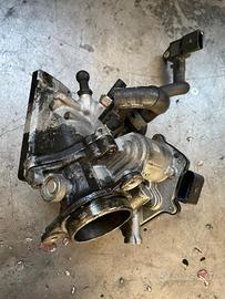 Farfalla completa golf  7