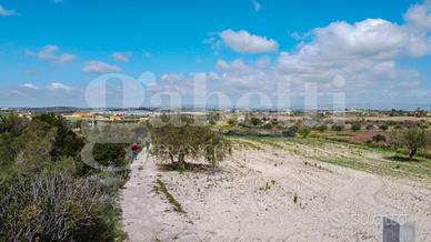 Terreno Agricolo Noto [cod. rif6042944VCG]