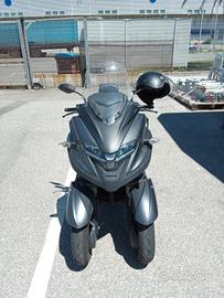 tricity 300