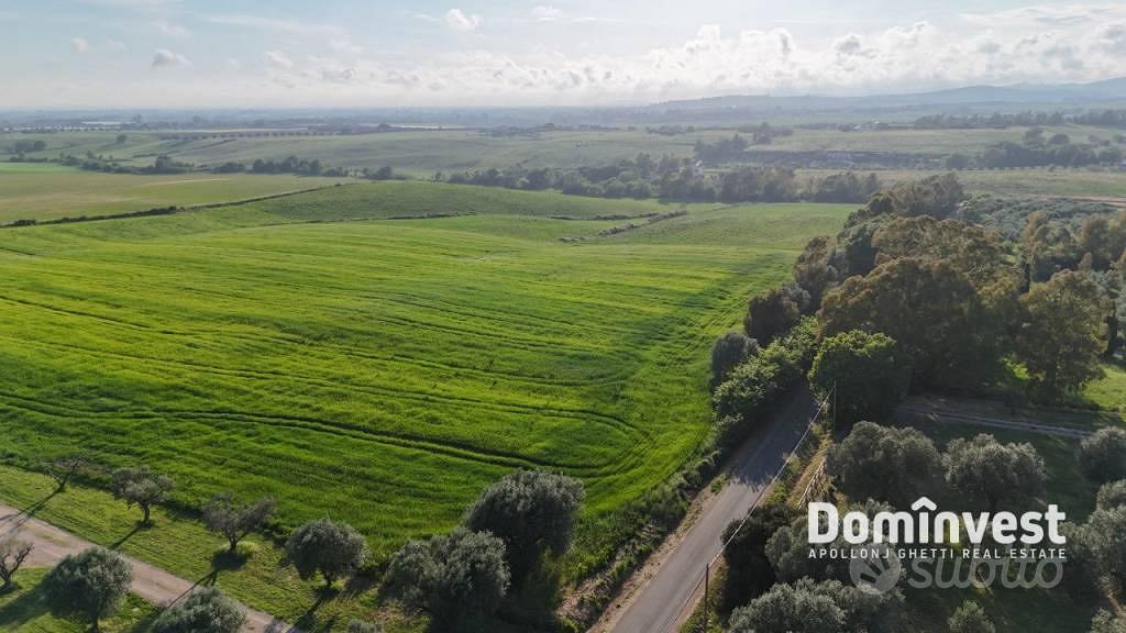 Rustico / Casale di 289 m² a Capalbio - Vista 3
