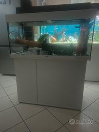 Acquario Juwel Rio 180
