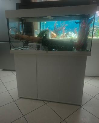 Acquario Juwel Rio 180