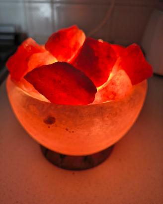 Lampada di sale rosa dell'Himalaya a braciere / ci