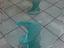 Immagine 2