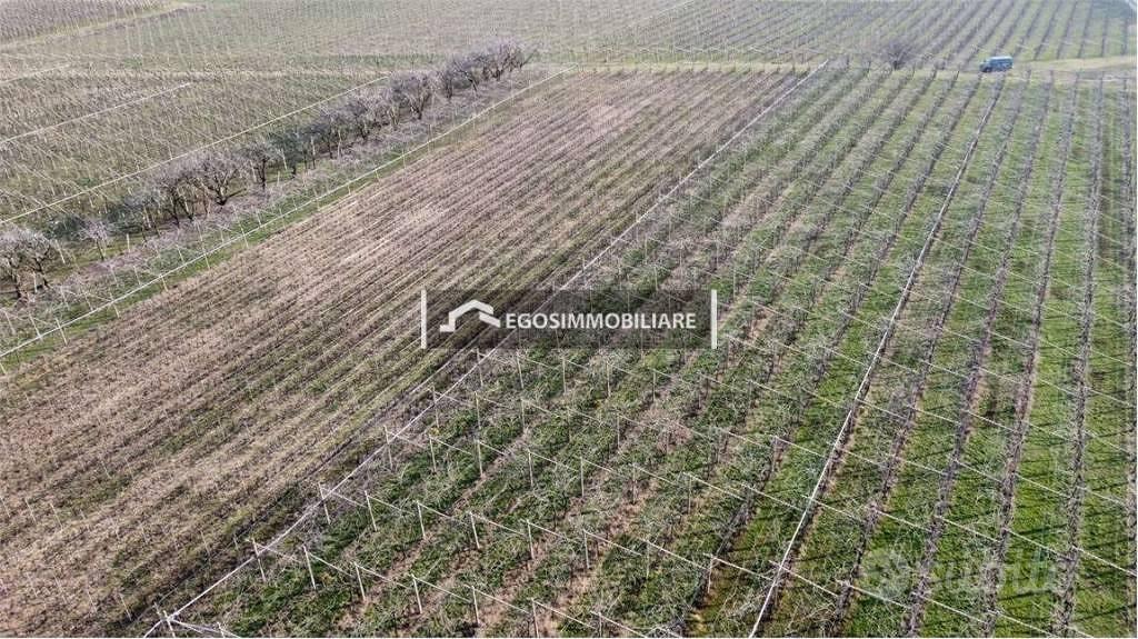 Terreno di 70000 m² a Sona - Vista 5