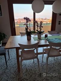  Tavolo in legno lunghezza 240/300 ×100cm di 