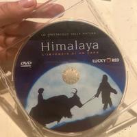DVD Himalaya