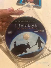 DVD Himalaya