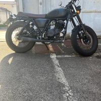 Mutt Mongrel 250