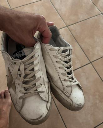 Golden goose
