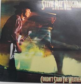 Vinile Couldn't Stand the Weather di S