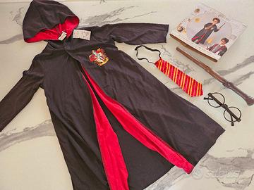 Costume Harry Potter