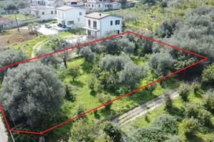 Terreno agricolo pianeggiante