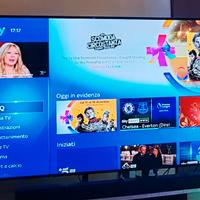 TV SAMSUNG 55 POLLICI GARANZIA FINE 2027 