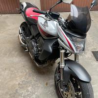 Honda hornet