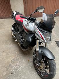 Honda hornet