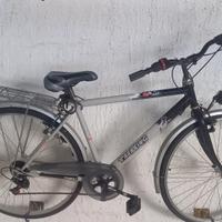 bicicletta da adulto 