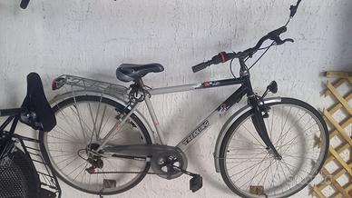 bicicletta da adulto 