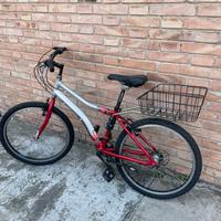Bicicletta rossa