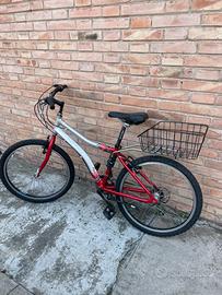 Bicicletta rossa
