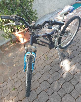 Bicicletta 