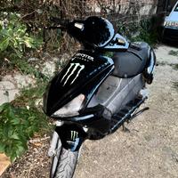 Benelli 491 - 2013