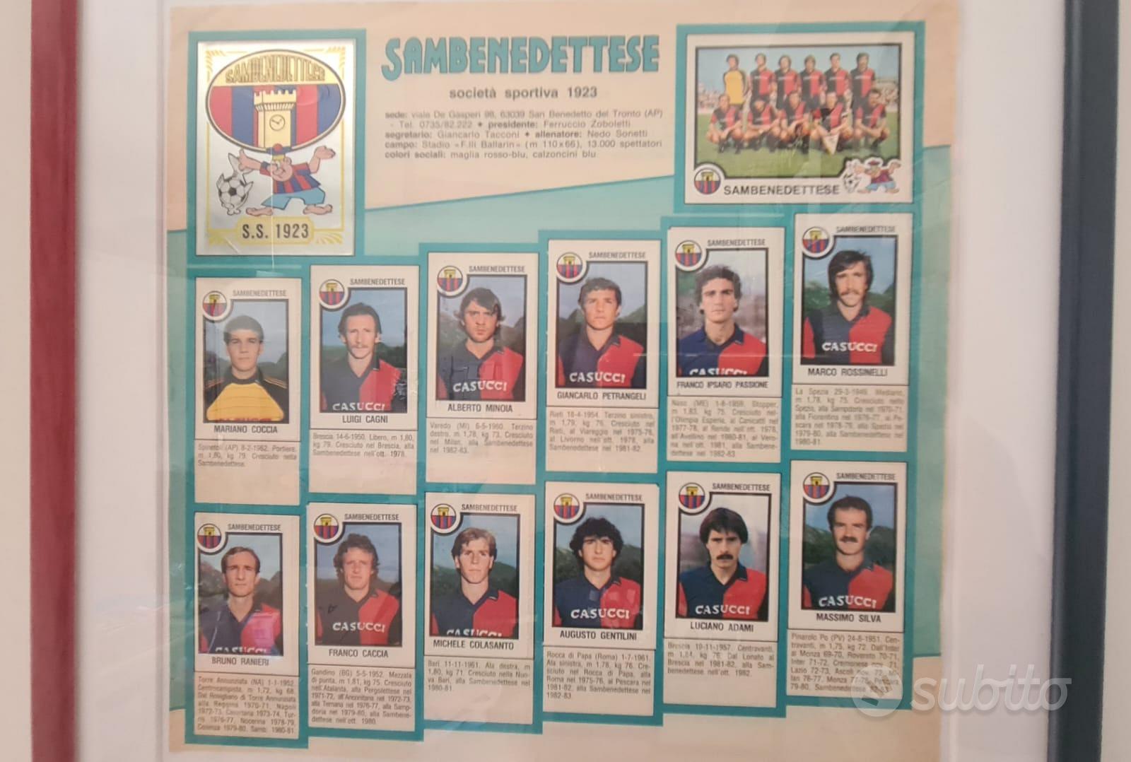 Società Sportiva Sambenedettese 1981-1982 - Wikipedia