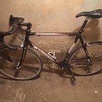 Bici da corsa Spezzotto