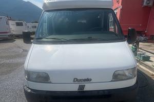 WINGAMN SEMINTEGRALE DEL 98 VETRORESINA IN SALDO 8