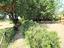 Immagine 28