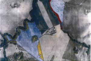 Terreno Agricolo - Bellante