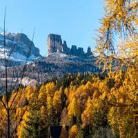 Chalet nel bosco sulle piste olimpiche di Cortina