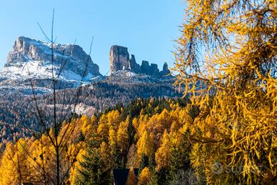 Chalet nel bosco sulle piste olimpiche di Cortina