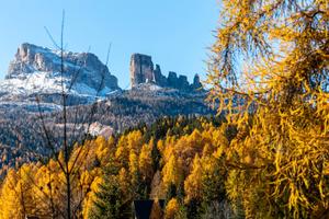Chalet nel bosco sulle piste olimpiche di Cortina