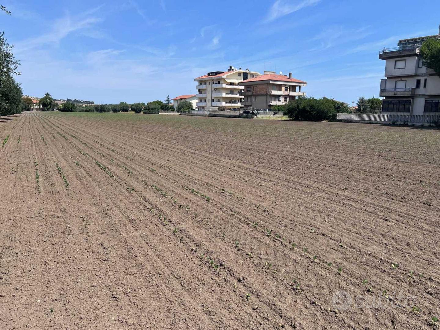 Terreni agricoli - Vista 5