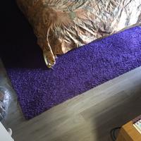 Tappeto viola grande