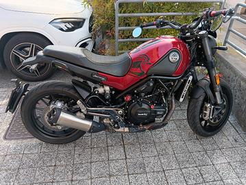 Leoncino 500