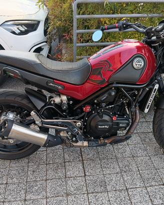 Leoncino 500