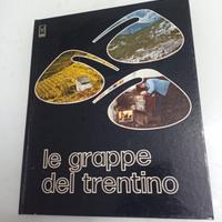 Le grappe del Trentino - tradizione distillatoria