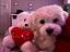 Immagine 4